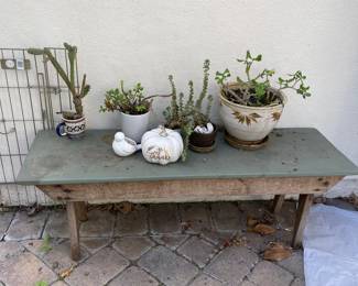 Rustic bench and Plants