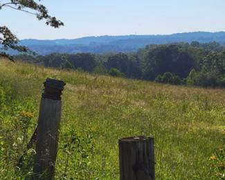 1 - Property/Land - View from Log Cabin Road
