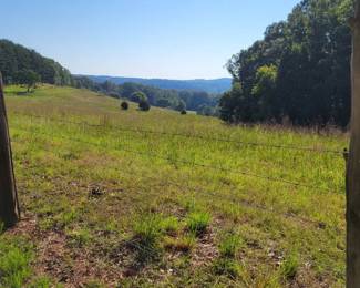 2 - Property/Land - View from Log Cabin Road
