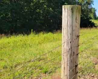5 - Property/Land - View from Log Cabin Road
