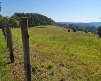 6 - Property/Land - View from Log Cabin Road
