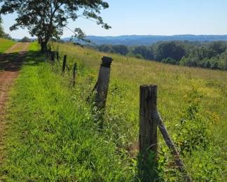 7 - Property/Land - View from Log Cabin Road
