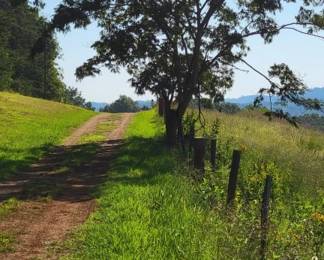 9 - Property/Land - View from Log Cabin Road
