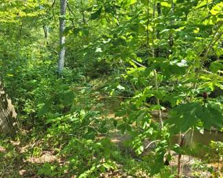 19 - Property/Land - Down by Creek
