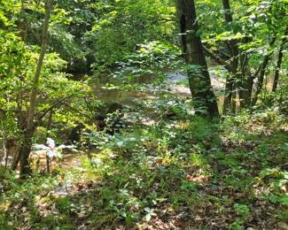 21 - Property/Land - Down by Creek
