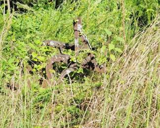 45 - Farm Machinery & Implements
