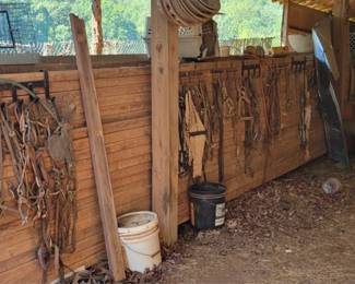 154 - Horse Bridles, reins & more