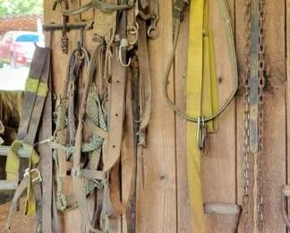 157 - Horse Bridles, Reins & More