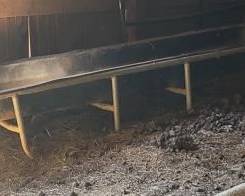 160 - Horse Feed Trough