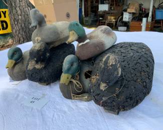 Duck Decoys