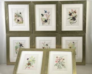(8PC) INSECT AND PLANT PRINTS | Includes 8 separate framed prints showing various insects and the flowers and plants they frequent with labels and Latin names 7.5in x 5in sight. - l. 11.5 x h. 14 in