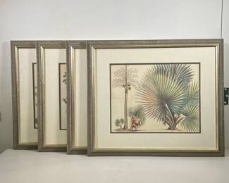 (4PC) PALM TREE & REED PRINTS | Includes 4 separate frame prints showing different palm trees with labels in multiple languages including Latin & Arabic 13in x 17in sight. - l. 26.5 x h. 22.75 in