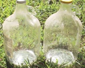 461 - Lot of 2 Glass Jugs - 12" tall
