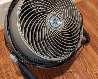 5-speed Vornado fan
