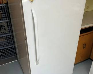 127 Frigidaire FloorStanding Freezermin