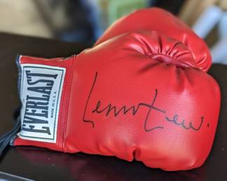 Autograph boxing gloves