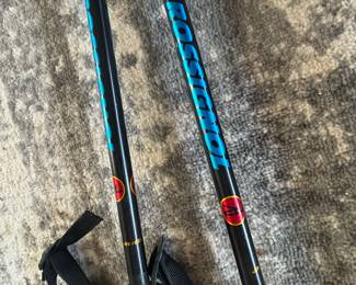 Rossignol ski poles