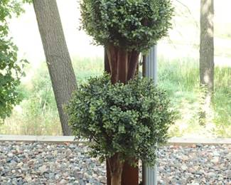 TOPIARY TREES