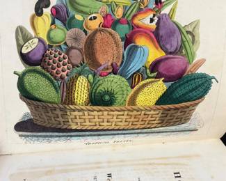 Antique early 19th century book, 1811 edition , Hortus Botanicus Americanus, of color plate sketches William Jowit Titford 