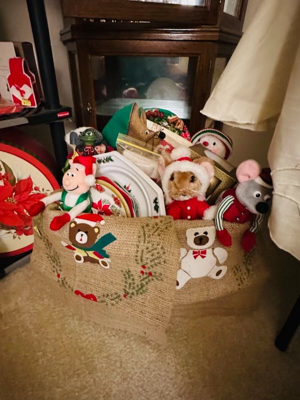 70 off Jasper's Picker's Paradise Estate Sale starts on 9/23/2023