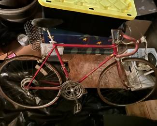 Schwinn bicycle