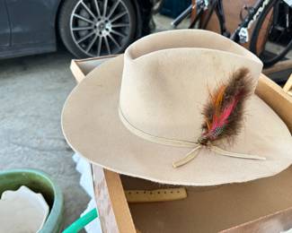 fedora, hat with feather