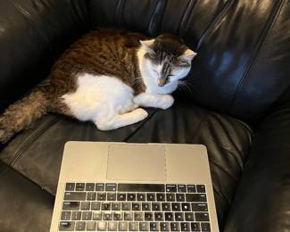 Sometimes she has writer’s block. 