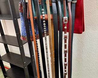 Brighton and other Designer Belts