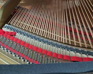 Boston GP 156 Ebony Grand Piano in Satin Finish. Photo 5 of 6.