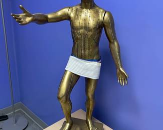 Large acupuncture point model