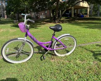 Vintage La Jolla Street Cruiser
