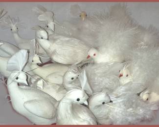 Large Collection of Feathered Peacocks and Partridges