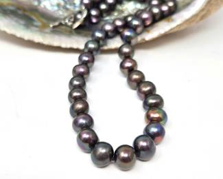 16" Strand of Tahitian South Sea Black Pearls - Knotted between the 9mm Pearls with a Silver Clasp - Beautiful Colors
