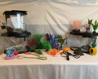 Swimming With The Fishes 