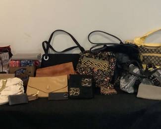 Variety Of Handbags