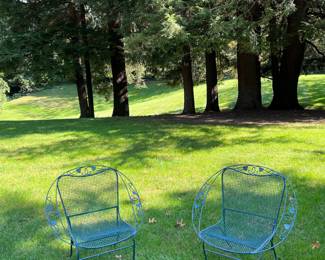 Vintage outdoor ivy seats 
Item Location
Outside front porch 