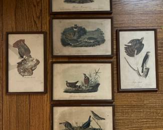 Item Location 
Main Floor Living Room 