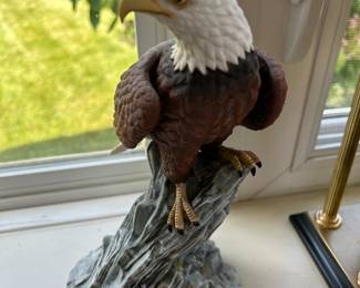 Bald Eagle on Mossy Rock Crystal Cathedral Eagles Ministries 