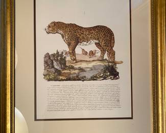 Beautiful gilded framed jaguar