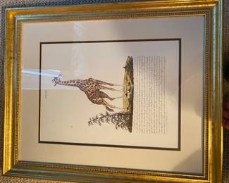 gilded framed zGiraffe