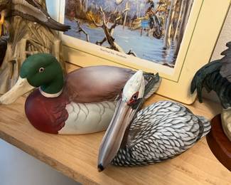 How did that pelican get in here?