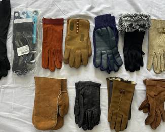 Assorted Womens Winter Gloves 
