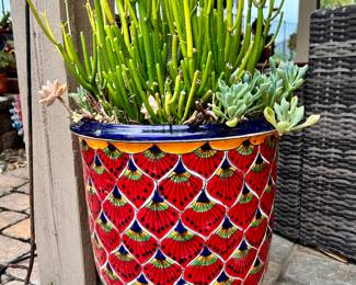 SO MANY COLORFUL POTS WITH PLANTS INCLUDED