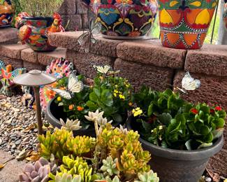 PLANTS & FLORAL GALORE!