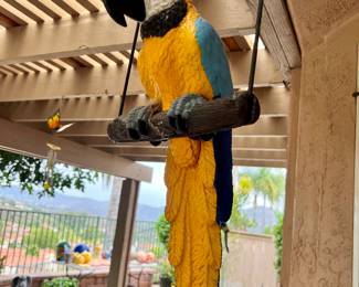 HANGING PARROT - WE HAVE 3 OF THEM