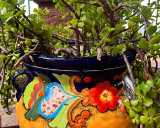 THIS BIGGY IS AMAZING!