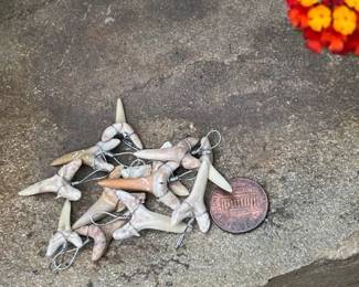 Fossil Shark Teeth ready to hook on to your chain.