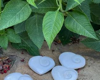 Hand carved fossil sea shells