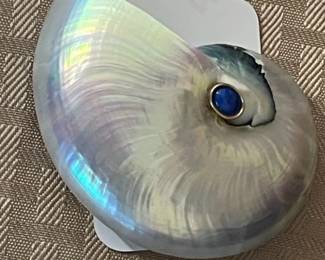 Designer shell with a Lapis stone pin