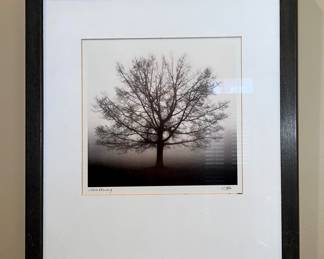 Calvo wall decor (one of three)